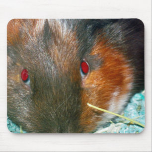 Alfombrilla De Ratón Almohadilla del ratón de Hamster