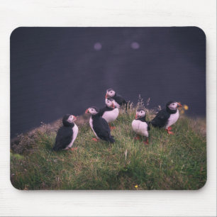 Alfombrilla De Ratón Almohadilla del ratón de Puffins Atlánticos
