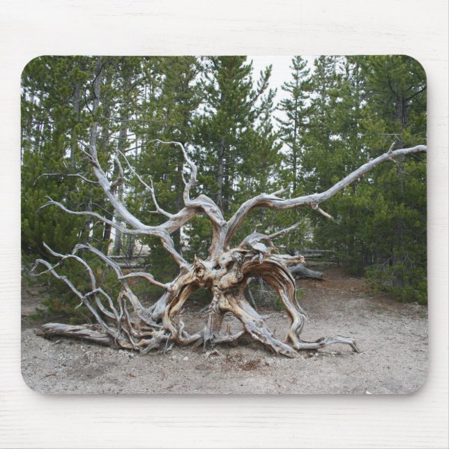 Alfombrilla De Ratón Almohadilla del ratón del parque nacional Yellowst (Frente)