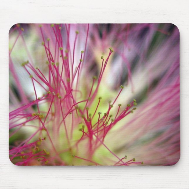 Alfombrilla De Ratón Almohadilla del ratón - Florecimiento del árbol de (Frente)