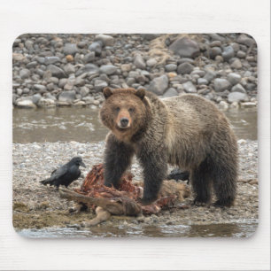 Alfombrilla De Ratón Almohadilla del ratón grizzly y raven