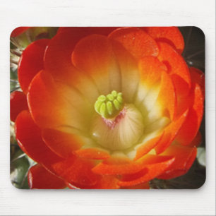 Alfombrilla De Ratón Almohadilla del ratón para flor de naranja Cactus