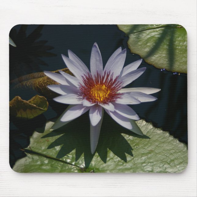 Alfombrilla De Ratón almohadilla del ratón para Lily Lily Lily Waterlil (Frente)
