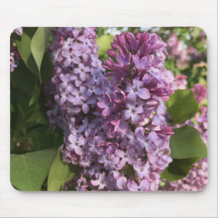 Alfombrilla De Ratón Almohadilla del ratón Purple Lilac