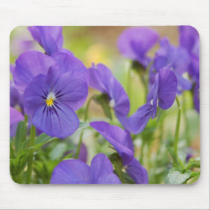 Alfombrilla De Ratón Almohadilla del ratón Púrpura Pansy