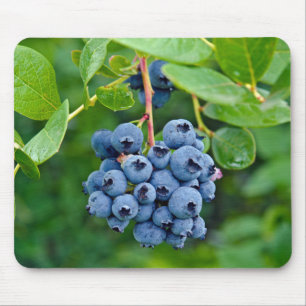 Alfombrilla De Ratón Almohadilla del ratón Ripe Blueberry Bush