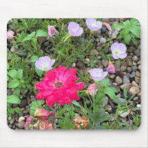 Almohadilla del ratón Rosa y de la rosa de prima