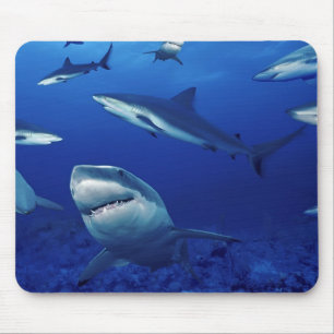 Alfombrilla De Ratón Almohadilla del ratón - Tiburones