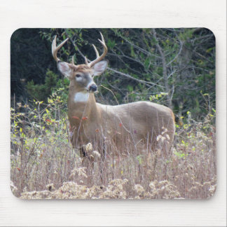 Alfombrilla De Ratón Almohadilla para ratón de 9" x 8"