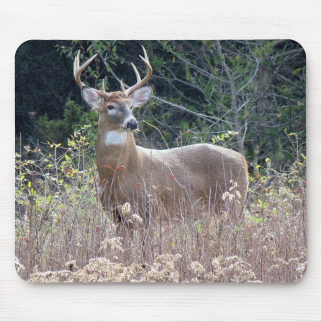 Alfombrilla De Ratón Almohadilla para ratón de 9" x 8" (Frente)