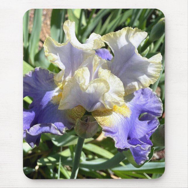 Alfombrilla De Ratón Almohadilla para ratón Iris dorada (Frente)