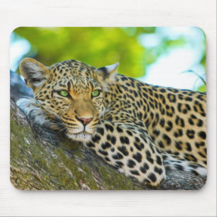 Alfombrilla De Ratón Almohadilla para ratón leopardo de Tanzania