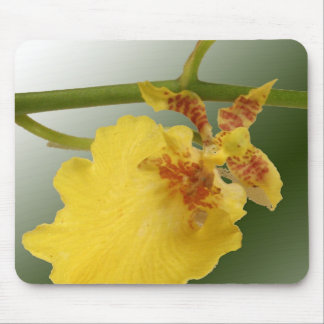 Alfombrilla De Ratón Almohadilla para ratón orquídea