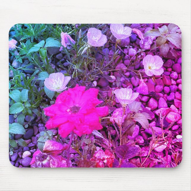 Alfombrilla De Ratón Almohadilla rosa de rosa y rosa de prima para rató (Frente)