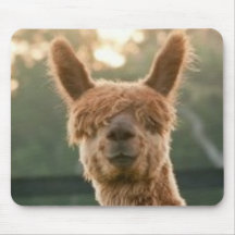 Almohadilla sonriente del ratón Alpaca