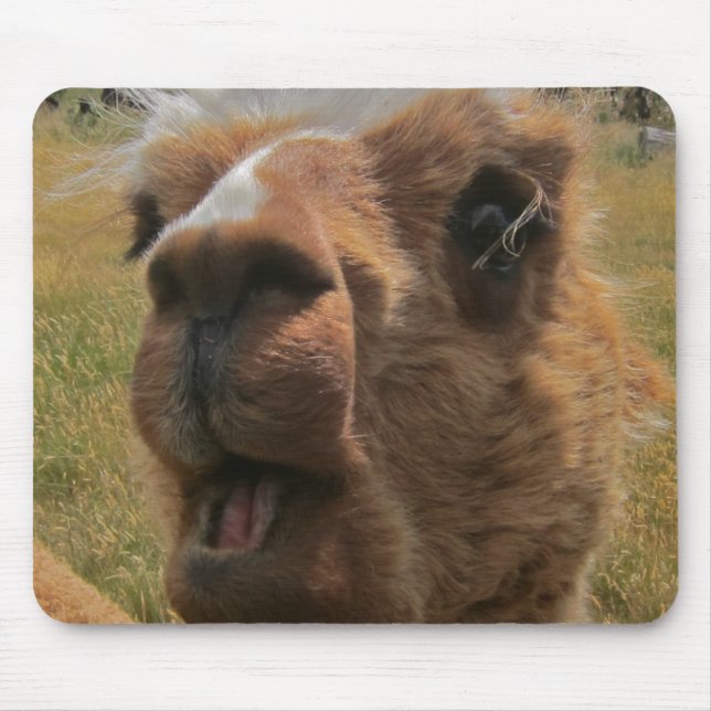 Alfombrilla De Ratón Alpaca Chipper (Frente)