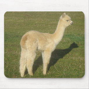 Alfombrilla De Ratón Alpaca de Fawn