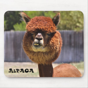 Alfombrilla De Ratón Alpaca divertida Mousepad