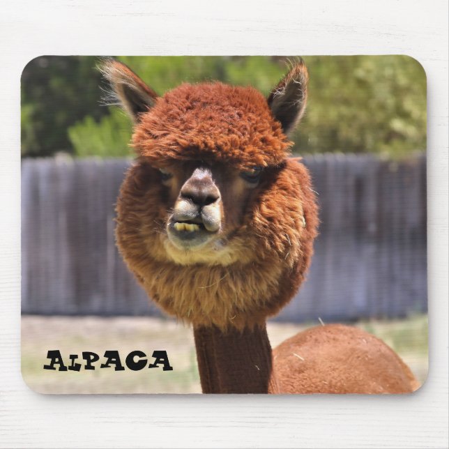 Alfombrilla De Ratón Alpaca divertida Mousepad (Frente)