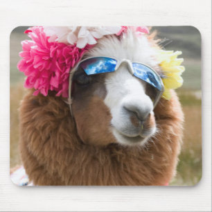 Alfombrilla De Ratón Alpaca, Pachacoto, Cordillera Blanca, Ancash