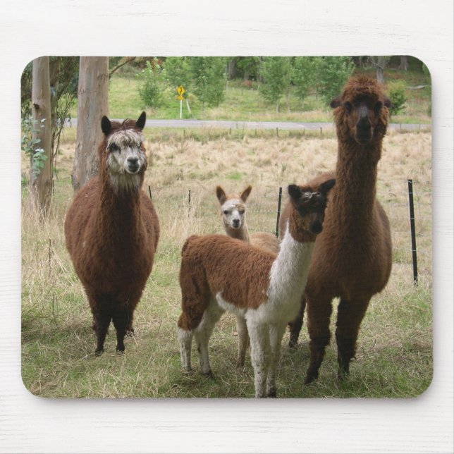 Alfombrilla De Ratón Alpacas (Frente)