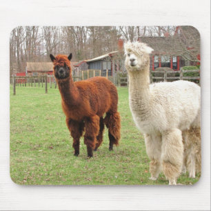 Alfombrilla De Ratón Alpacas Wooly ~ mousepad