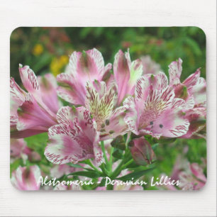 Alfombrilla De Ratón Alstromeria rosado y blanco Mousepad