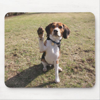 Alfombrilla De Ratón Alto cojín de ratón cinco del beagle