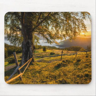Alfombrilla De Ratón Amanecer brumoso en un bosque