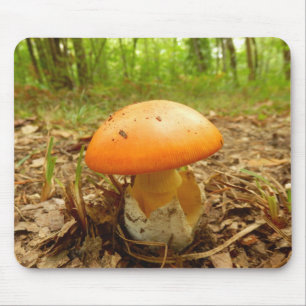 Alfombrilla De Ratón Amanita Caesarea Mushroom Mouse Mat
