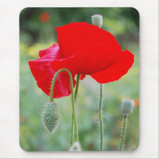 Alfombrilla De Ratón amapola roja