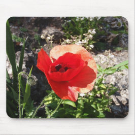 Alfombrilla De Ratón Amapola roja