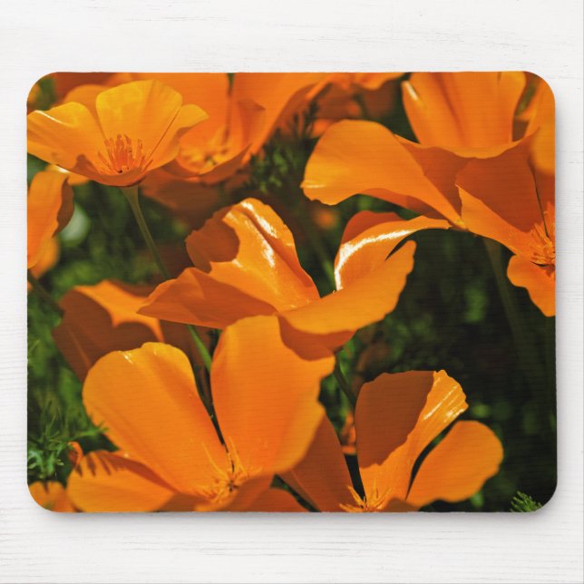 Alfombrilla De Ratón Amapolas de California Mousepad (Frente)