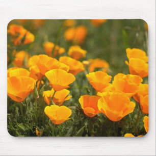 Alfombrilla De Ratón Amapolas de California, Parque Estatal Montana de 