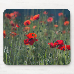 Alfombrilla De Ratón Amapolas en un Campo
