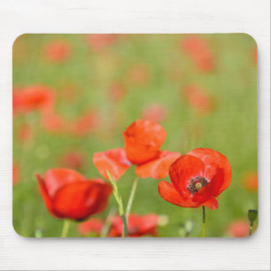 Alfombrilla De Ratón Amapolas en un mousepad del campo de la amapola