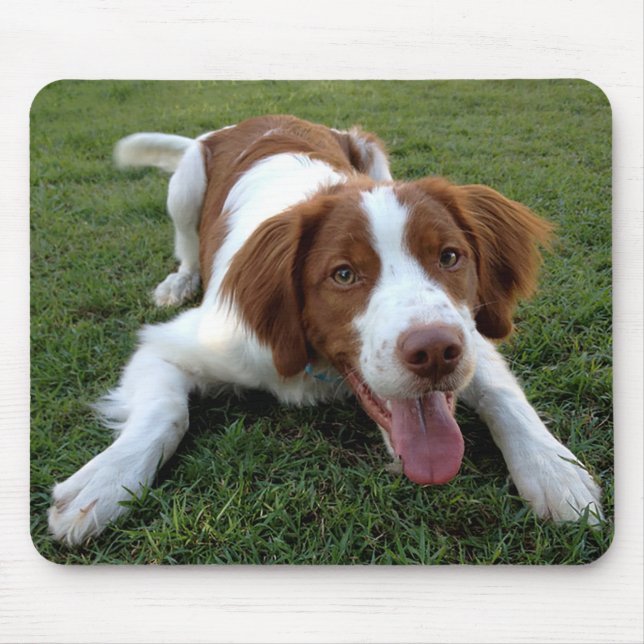 Alfombrilla De Ratón Amar a Bretaña, España, cachorro de perro Mousepad (Frente)