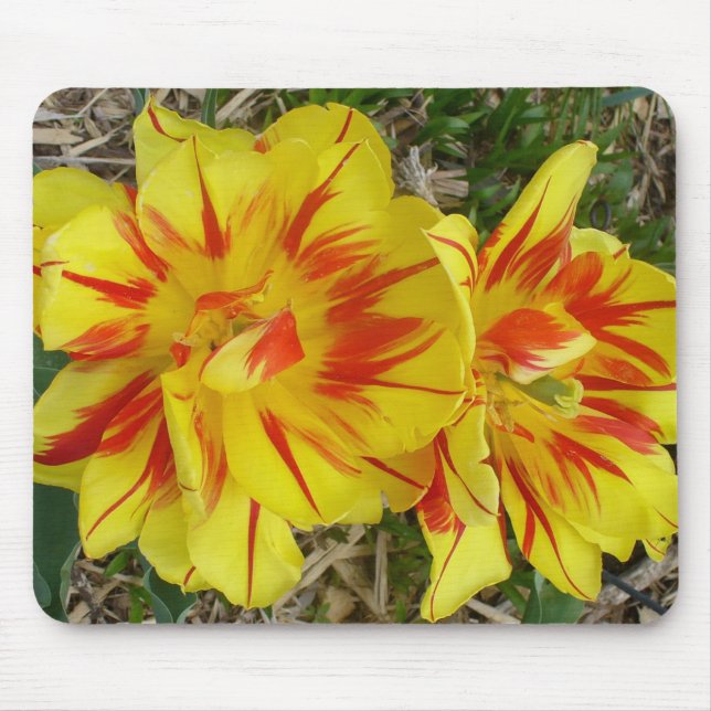 Alfombrilla De Ratón Amarillo con flor de rayas rojas (Frente)