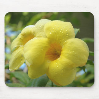 Alfombrilla De Ratón ~ amarillo Mousepad de la flor