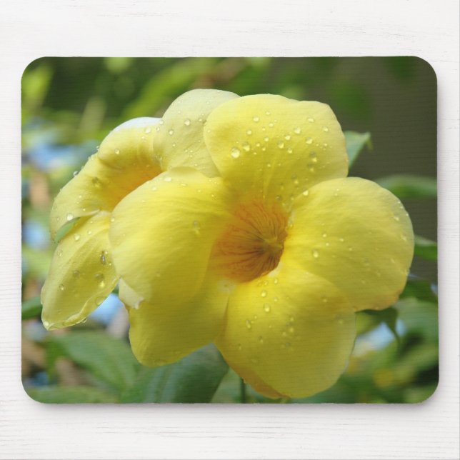 Alfombrilla De Ratón ~ amarillo Mousepad de la flor (Frente)