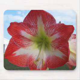 Alfombrilla De Ratón Amaryllis rojo y blanco MegaStar
