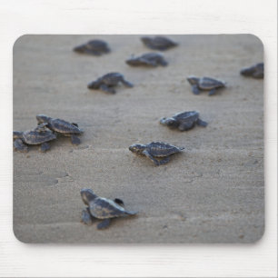 Alfombrilla De Ratón América Central, El Salvador, Océano Pacífico