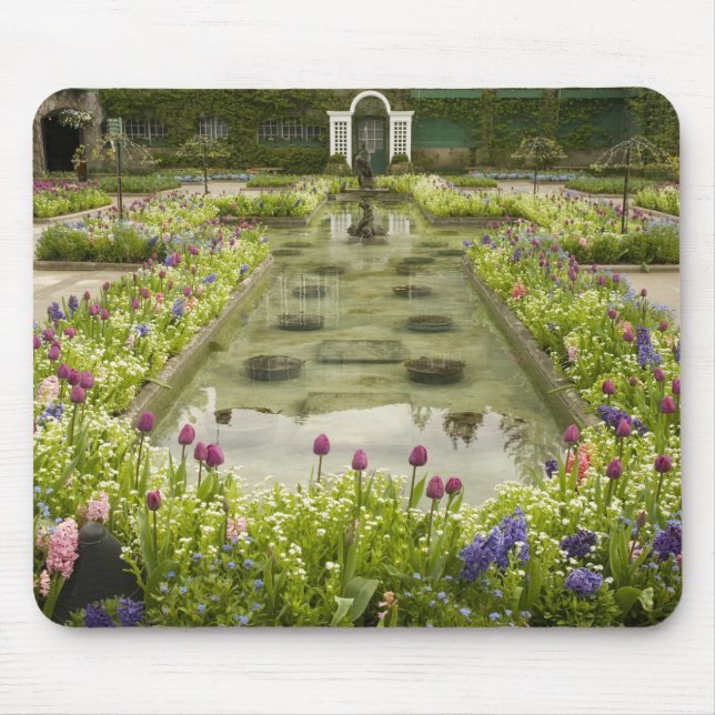 Alfombrilla De Ratón América del Norte, Canadá, Columbia Británica, 4 (Frente)