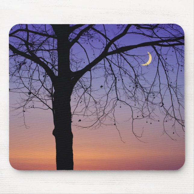 Alfombrilla De Ratón América del Norte, Estados Unidos, Florida, Monte  (Frente)