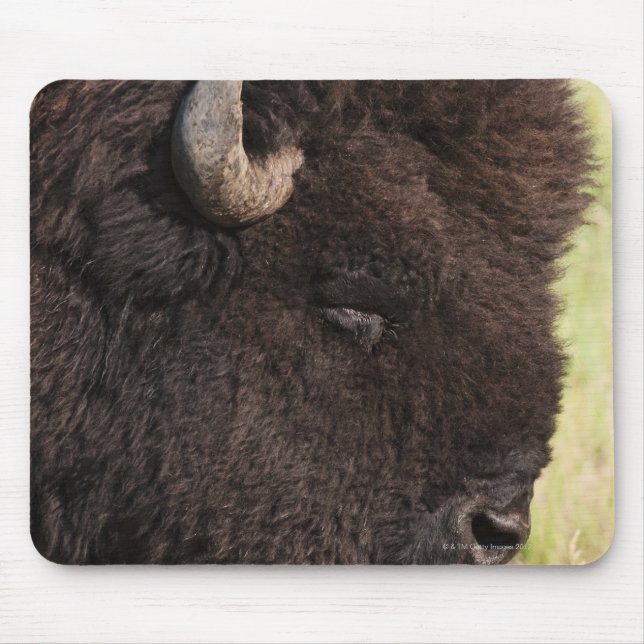 Alfombrilla De Ratón American Bison, Dakota del Sur (Frente)