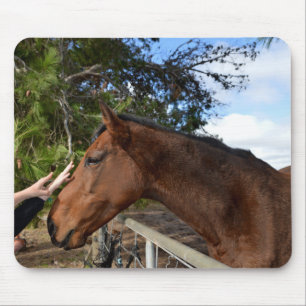 Alfombrilla De Ratón Amigo del caballo para siempre, Mousepad