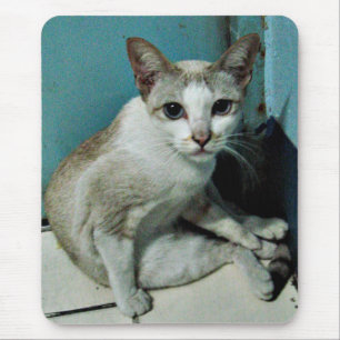 Alfombrilla De Ratón Amigo del gato siamés