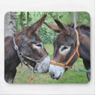 Alfombrilla De Ratón Amigos del burro