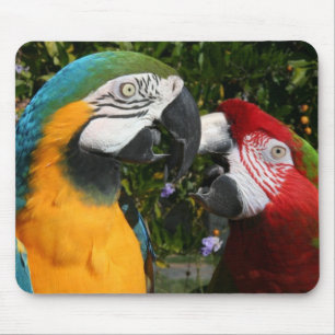 Alfombrilla De Ratón Amigos Mousepad del Macaw