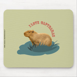 Alfombrilla De Ratón Amo a los carpinchos